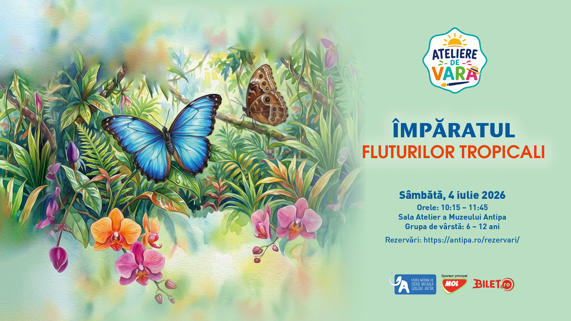 Culori Sălbatice: Împăratul fluturilor tropicali – Atelier pentru copii 6-12 ani